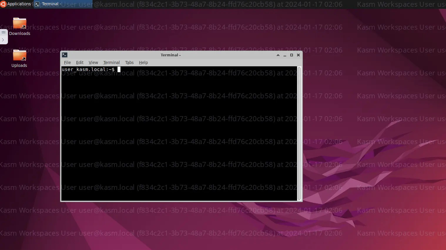 ../_images/kasmvnc_dlp_text_watermark.webp