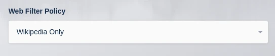 ../_images/workspace_web_filter_policy.webp