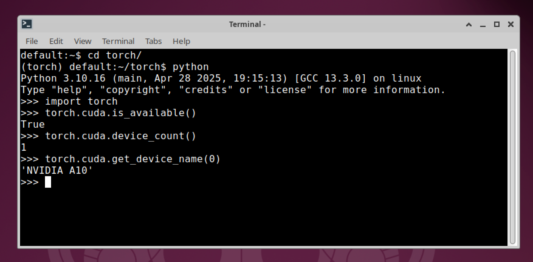../_images/torch_cuda_test.png